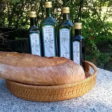 La Caprignola Holiday home Buccino